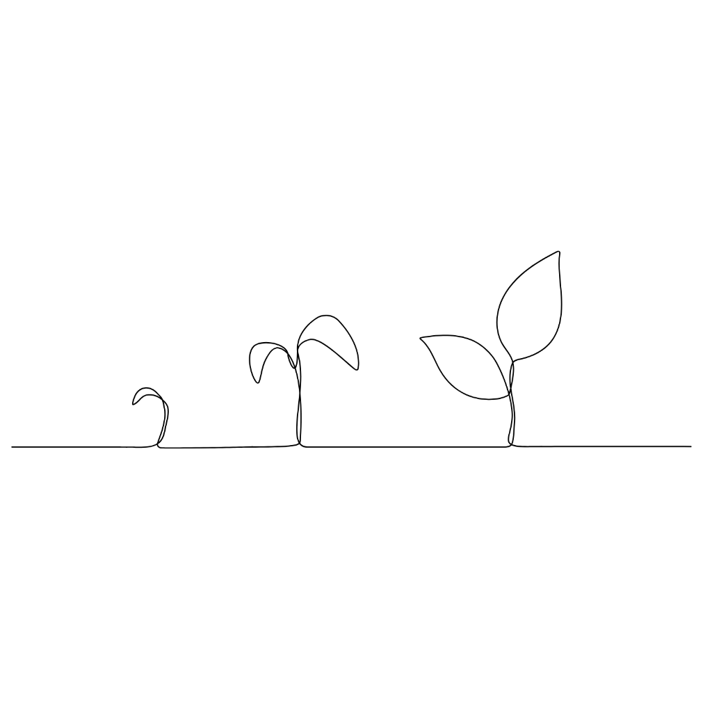 Growth Timeline